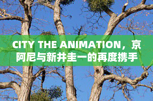 CITY THE ANIMATION，京阿尼与新井圭一的再度携手之作
