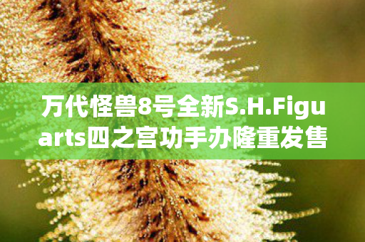 万代怪兽8号全新S.H.Figuarts四之宫功手办隆重发售