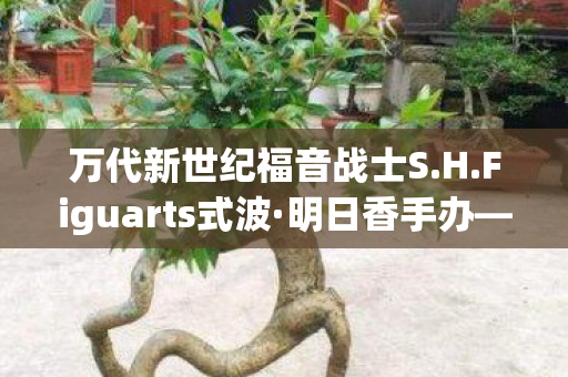 万代新世纪福音战士S.H.Figuarts式波·明日香手办—收藏家心中的梦幻之作