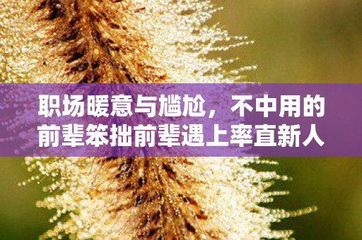 职场暖意与尴尬，不中用的前辈笨拙前辈遇上率直新人