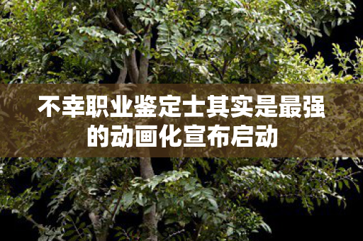 不幸职业鉴定士其实是最强的动画化宣布启动