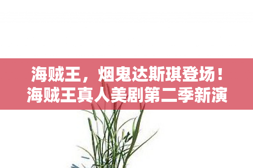 海贼王，烟鬼达斯琪登场！海贼王真人美剧第二季新演员亮相