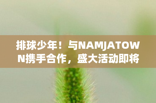 排球少年！与NAMJATOWN携手合作，盛大活动即将举办