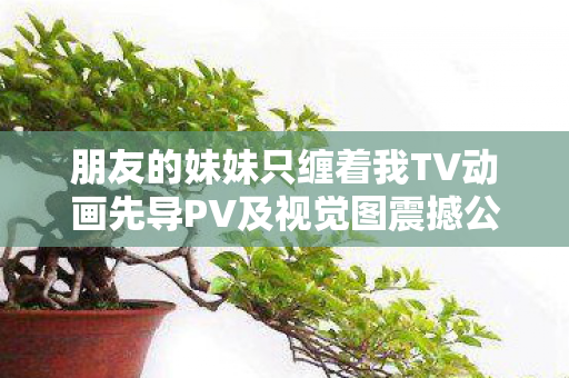 朋友的妹妹只缠着我TV动画先导PV及视觉图震撼公开！