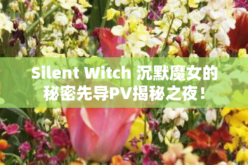 Silent Witch 沉默魔女的秘密先导PV揭秘之夜！