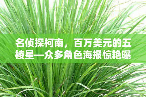 名侦探柯南，百万美元的五棱星—众多角色海报惊艳曝光！