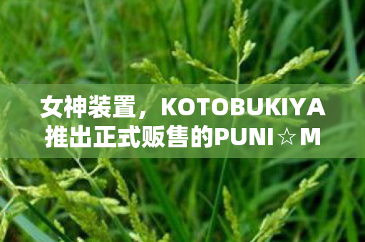 女神装置，KOTOBUKIYA推出正式贩售的PUNI☆MOFU鸮女神雕像