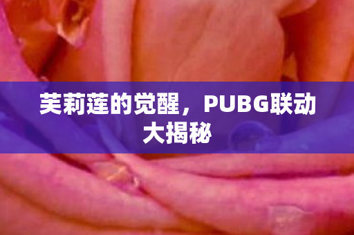 芙莉莲的觉醒，PUBG联动大揭秘