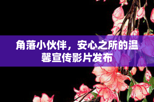 角落小伙伴，安心之所的温馨宣传影片发布