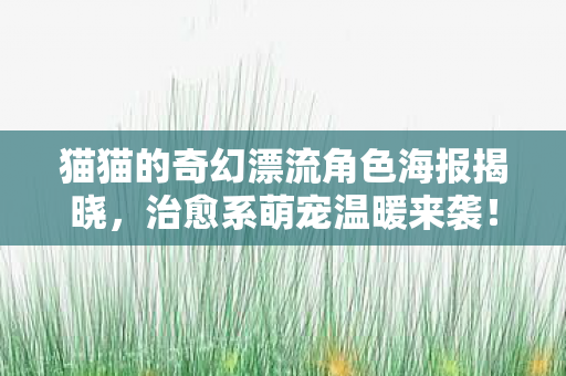 猫猫的奇幻漂流角色海报揭晓，治愈系萌宠温暖来袭！