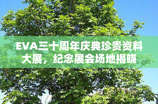EVA三十周年庆典珍贵资料大展，纪念展会场地揭晓