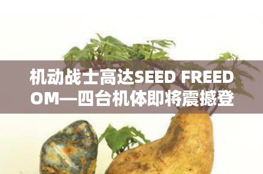机动战士高达SEED FREEDOM—四台机体即将震撼登场