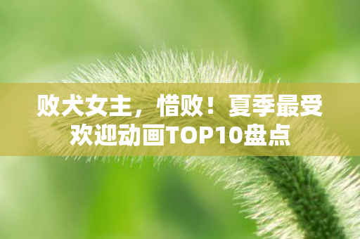 败犬女主，惜败！夏季最受欢迎动画TOP10盘点