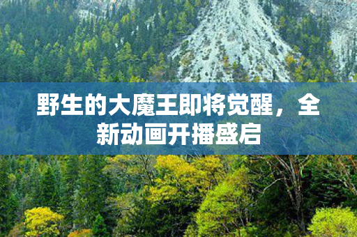 野生的大魔王即将觉醒，全新动画开播盛启