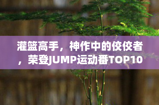 灌篮高手，神作中的佼佼者，荣登JUMP运动番TOP10之首