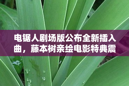 电锯人剧场版公布全新插入曲，藤本树亲绘电影特典震撼亮相
