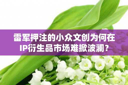 雷军押注的小众文创为何在IP衍生品市场难掀波澜？