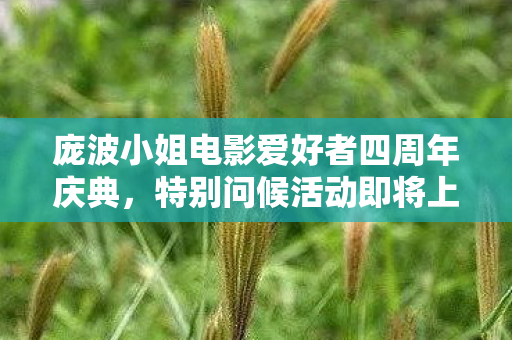 庞波小姐电影爱好者四周年庆典，特别问候活动即将上演