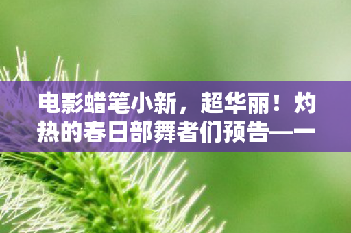 电影蜡笔小新，超华丽！灼热的春日部舞者们预告—一场视觉盛宴即将上演