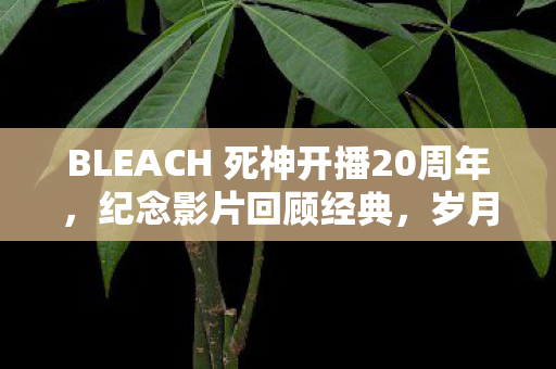 BLEACH 死神开播20周年，纪念影片回顾经典，岁月见证辉煌