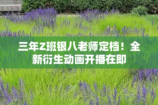 三年Z班银八老师定档！全新衍生动画开播在即