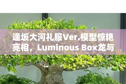 逢坂大河礼服Ver.模型惊艳亮相，Luminous Box龙与虎新篇章开启预购