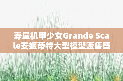 寿屋机甲少女Grande Scale安姬蒂特大型模型贩售盛况