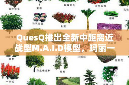QuesQ推出全新中距离近战型M.A.I.D模型，玛丽一号的首次亮相