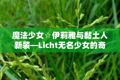 魔法少女☆伊莉雅与黏土人新装—Licht无名少女的奇幻之旅