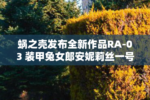 蜗之壳发布全新作品RA-03 装甲兔女郎安妮莉丝一号的震撼首发