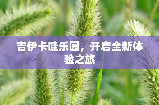 吉伊卡哇乐园，开启全新体验之旅