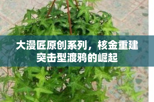 大漫匠原创系列，核金重建突击型渡鸦的崛起