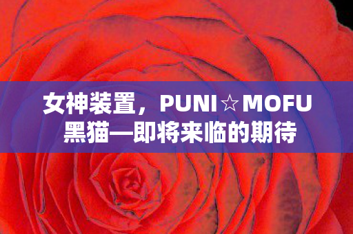 女神装置，PUNI☆MOFU 黑猫—即将来临的期待