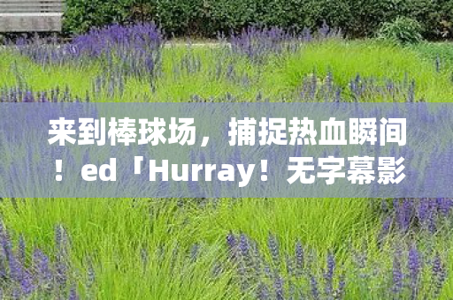 来到棒球场，捕捉热血瞬间！ed「Hurray！无字幕影片的魅力之旅