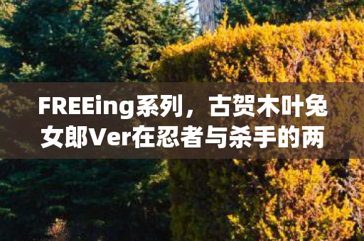 FREEing系列，古贺木叶兔女郎Ver在忍者与杀手的两人生活的世界