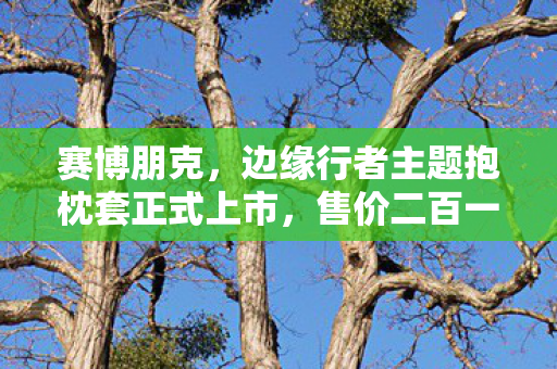 赛博朋克，边缘行者主题抱枕套正式上市，售价二百一十五元