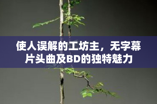使人误解的工坊主，无字幕片头曲及BD的独特魅力