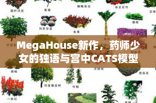 MegaHouse新作，药师少女的独语与宫中CATS模型即将亮相