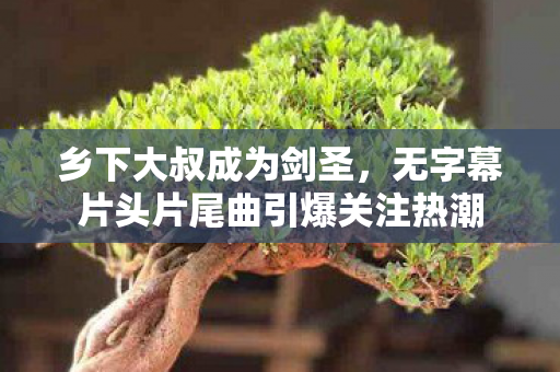 乡下大叔成为剑圣，无字幕片头片尾曲引爆关注热潮