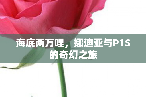 海底两万哩，娜迪亚与P1S的奇幻之旅