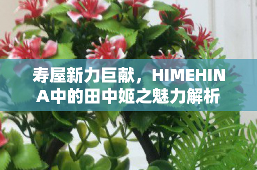寿屋新力巨献，HIMEHINA中的田中姬之魅力解析