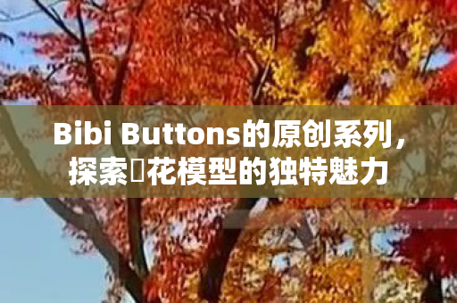 Bibi Buttons的原创系列，探索瑠花模型的独特魅力