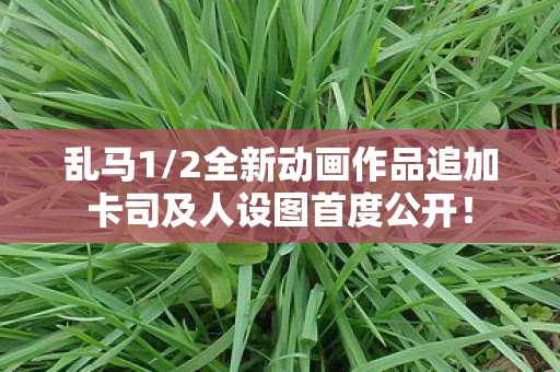 乱马1/2全新动画作品追加卡司及人设图首度公开！