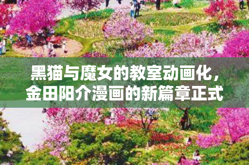 黑猫与魔女的教室动画化，金田阳介漫画的新篇章正式开启