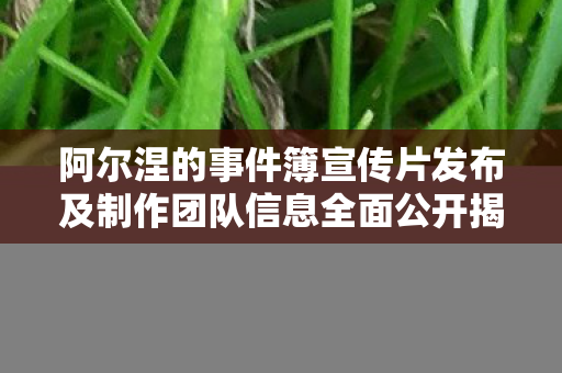 阿尔涅的事件簿宣传片发布及制作团队信息全面公开揭秘