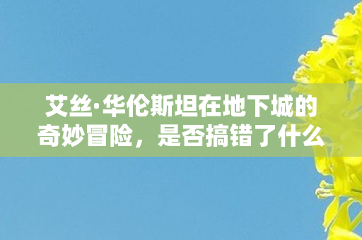 艾丝·华伦斯坦在地下城的奇妙冒险，是否搞错了什么？