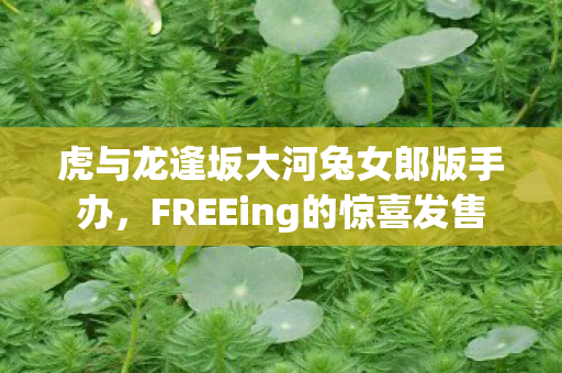虎与龙逢坂大河兔女郎版手办，FREEing的惊喜发售