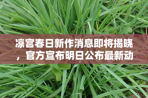 凉宫春日新作消息即将揭晓，官方宣布明日公布最新动态！