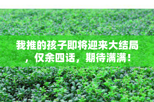 我推的孩子即将迎来大结局，仅余四话，期待满满！