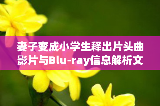 妻子变成小学生释出片头曲影片与Blu-ray信息解析文章
